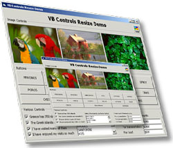 ActiveResize Control Professional 4 screenshot