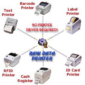 Screenshot of Raw Data Printer Component