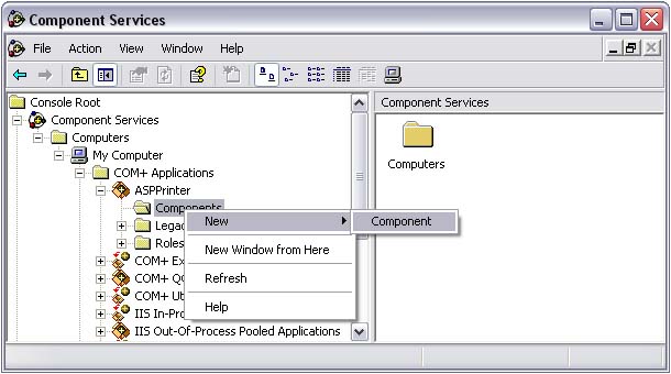 Installing & Running ASP Printer COM In The Windows COM+ Component Services - running the component form ASP pages